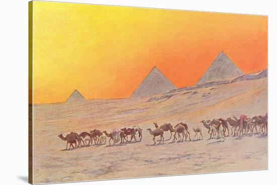 Pyramids, Camels, Egypt-null-Stretched Canvas