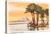 Pyramids from across the Nile, Palms, Camels, Egypt-null-Stretched Canvas