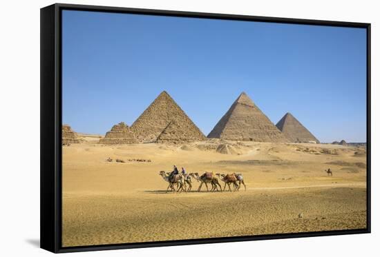 Pyramids of Giza, Giza, Cairo, Egypt-Jon Arnold-Framed Stretched Canvas