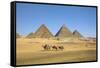 Pyramids of Giza, Giza, Cairo, Egypt-Jon Arnold-Framed Stretched Canvas