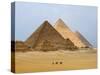 Pyramids of Giza, Giza, UNESCO World Heritage Site, Near Cairo, Egypt, North Africa, Africa-Schlenker Jochen-Stretched Canvas