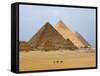 Pyramids of Giza, Giza, UNESCO World Heritage Site, Near Cairo, Egypt, North Africa, Africa-Schlenker Jochen-Framed Stretched Canvas