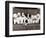 Pyrenean Mountain Dog Puppies, January 1986-null-Framed Photographic Print