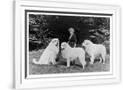 Gramercy White