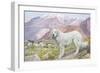 Pyrenean Sheep Dog-null-Framed Art Print