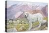 Pyrenean Sheep Dog-null-Stretched Canvas