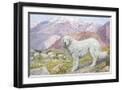 Black Frame