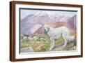 Brown Frame