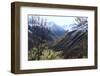 Pyreneean Valley Near Bagneres De Luchon with Big Peaks on the French and Spanish Border-Nick Upton-Framed Photographic Print