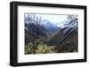 Pyreneean Valley Near Bagneres De Luchon with Big Peaks on the French and Spanish Border-Nick Upton-Framed Photographic Print