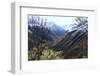 Pyreneean Valley Near Bagneres De Luchon with Big Peaks on the French and Spanish Border-Nick Upton-Framed Photographic Print