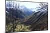 Pyreneean Valley Near Bagneres De Luchon with Big Peaks on the French and Spanish Border-Nick Upton-Mounted Photographic Print