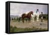 Pyrenees Farmers Market Bound, 1884-Rosa Bonheur-Framed Stretched Canvas