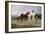 Pyrenees Farmers Market Bound, 1884-Rosa Bonheur-Framed Giclee Print