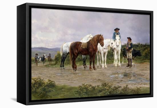 Pyrenees Farmers Market Bound-Rosa Bonheur-Framed Stretched Canvas