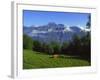 Pyrenees France-Charles Bowman-Framed Photographic Print