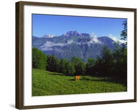 Pyrenees France-Charles Bowman-Framed Photographic Print