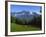 Pyrenees France-Charles Bowman-Framed Photographic Print