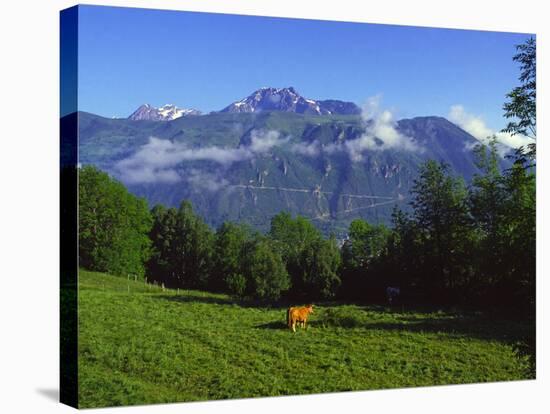 Pyrenees France-Charles Bowman-Stretched Canvas
