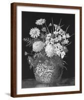 Pyrethrums and Freesias-John Halford Ross-Framed Giclee Print