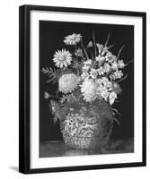 Pyrethrums and Freesias-John Halford Ross-Framed Giclee Print