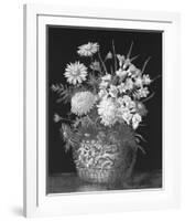 Pyrethrums and Freesias-John Halford Ross-Framed Giclee Print