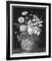 Pyrethrums and Freesias-John Halford Ross-Framed Giclee Print