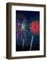 Pyrotechnia-KennethKeifer-Framed Photographic Print