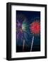 Pyrotechnia-KennethKeifer-Framed Photographic Print