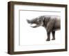 Pyrotherium-null-Framed Photographic Print