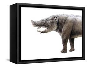 Pyrotherium-null-Framed Stretched Canvas