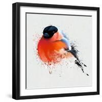 Pyrrhula. A Vivid Illustration of Bullfinch, close Up, with Elements of the Sketch and Spray Paint,-Pacrovka-Framed Art Print