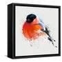 Pyrrhula. A Vivid Illustration of Bullfinch, close Up, with Elements of the Sketch and Spray Paint,-Pacrovka-Framed Stretched Canvas