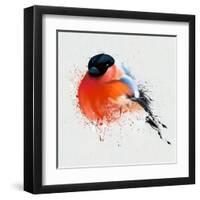 Pyrrhula. A Vivid Illustration of Bullfinch, close Up, with Elements of the Sketch and Spray Paint,-Pacrovka-Framed Art Print