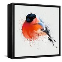 Pyrrhula. A Vivid Illustration of Bullfinch, close Up, with Elements of the Sketch and Spray Paint,-Pacrovka-Framed Stretched Canvas