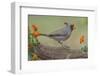 Pyrrhuloxia, Rio Grande Valley, Texas-Adam Jones-Framed Photographic Print