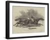 Pyrrhus the First and Sir Tatton Sykes Contending for the Derby Stakes at Epsom-James Herring-Framed Giclee Print