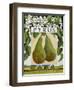 Pyrus (Pear), 2014-Jennifer Abbott-Framed Giclee Print