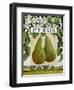 Pyrus (Pear), 2014-Jennifer Abbott-Framed Giclee Print