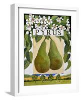 Pyrus (Pear), 2014-Jennifer Abbott-Framed Giclee Print