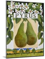 Pyrus (Pear), 2014-Jennifer Abbott-Mounted Giclee Print