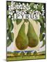 Pyrus (Pear), 2014-Jennifer Abbott-Mounted Giclee Print