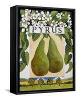 Pyrus (Pear), 2014-Jennifer Abbott-Framed Stretched Canvas