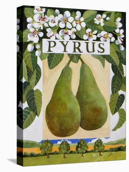 Pyrus (Pear), 2014-Jennifer Abbott-Stretched Canvas