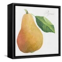 Pyrus, pear-Jennifer Abbott-Framed Stretched Canvas