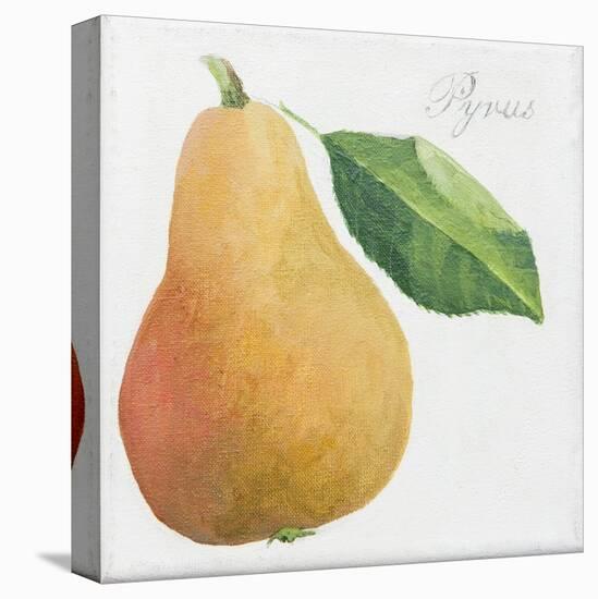 Pyrus, pear-Jennifer Abbott-Stretched Canvas