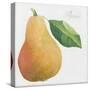 Pyrus, pear-Jennifer Abbott-Stretched Canvas