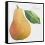 Pyrus, pear-Jennifer Abbott-Framed Stretched Canvas