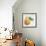 Pyrus, pear-Jennifer Abbott-Framed Giclee Print displayed on a wall