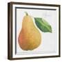 Pyrus, pear-Jennifer Abbott-Framed Giclee Print